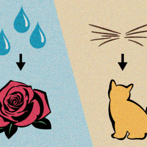 Pictogram of raindrops on roses and whiskers on kittens.
