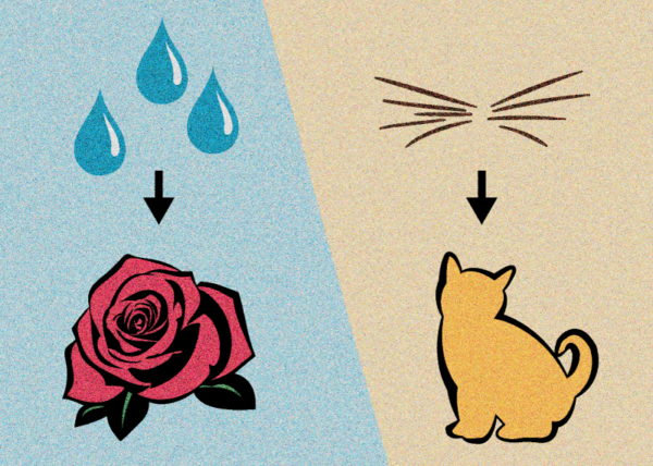 Pictogram of raindrops on roses and whiskers on kittens.